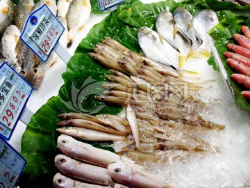 海鲜 鱼虾 卖场