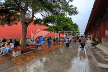 北京故宫红墙松树石板路