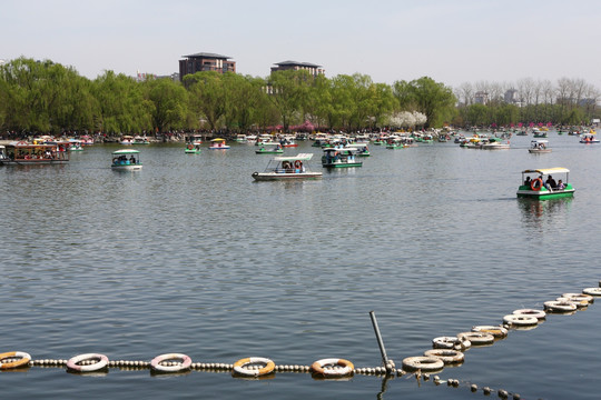 北京玉渊潭公园