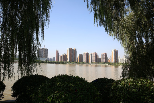 城市