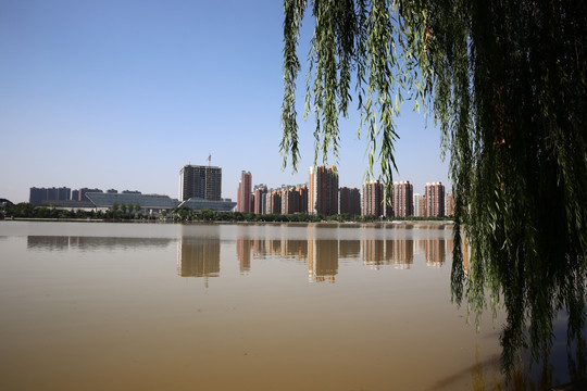 城市