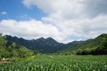 玉米地与远山的长城 苞米