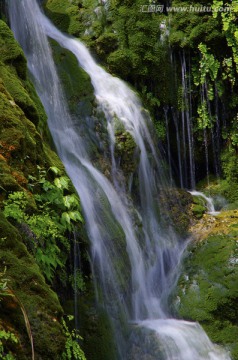 山泉水