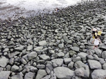 海边石头与童趣