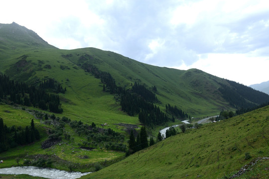 高山牧场