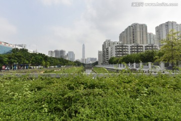 城市绿化