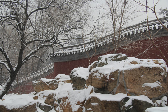 颐和园雪景