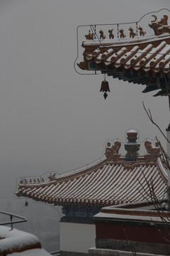 颐和园雪景