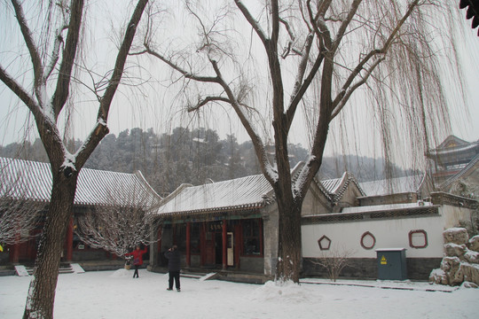 颐和园雪景