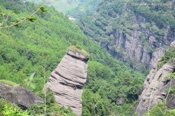 冠豸山 生命之根