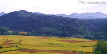 秋天田野