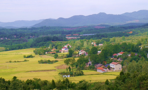 秋天山区