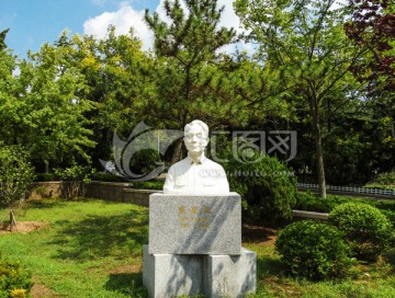 青岛大学束星北雕塑