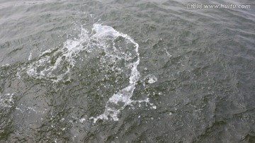 泼水