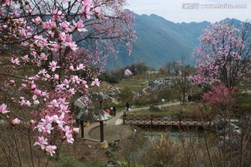 春天的山谷