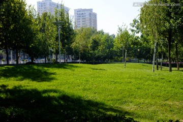 城市绿地