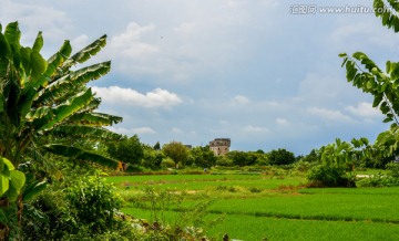 稻田蓝天碉楼