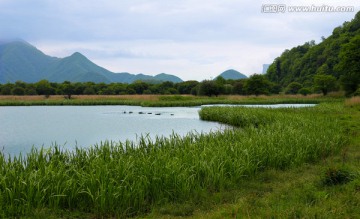 大九湖 沼泽湿地