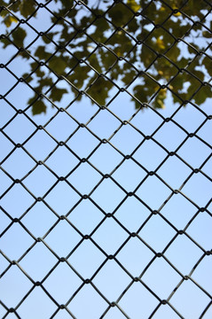 铁丝网的天空