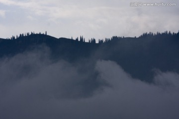 雾 山 云