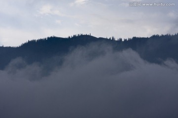雾 山 云