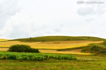 田园风光