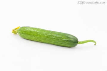 黄瓜