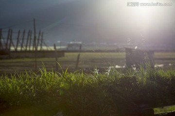 草原