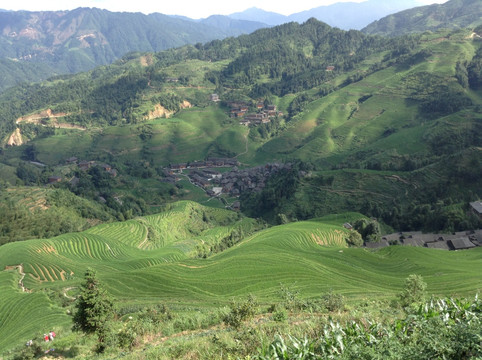阳光乡村
