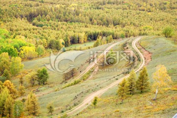 秋林山路