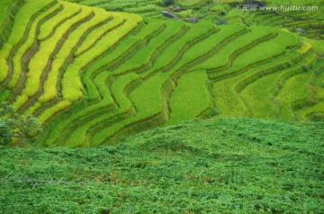 梯田