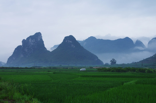 风景 田野