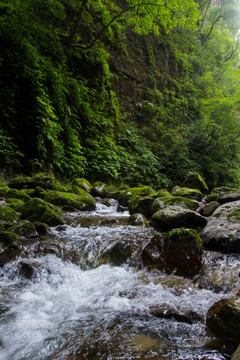 溪流 山涧