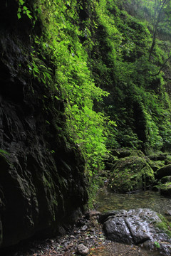 溪流 山涧