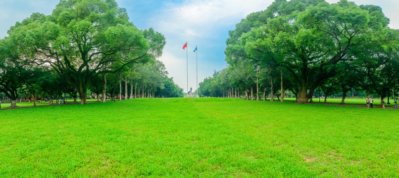 中山大学古树绿道草坪全景接片