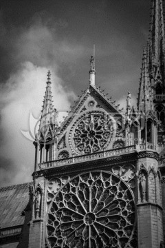 巴黎圣母院黑白片