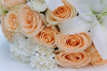 橙色玫瑰花和康乃馨花丛