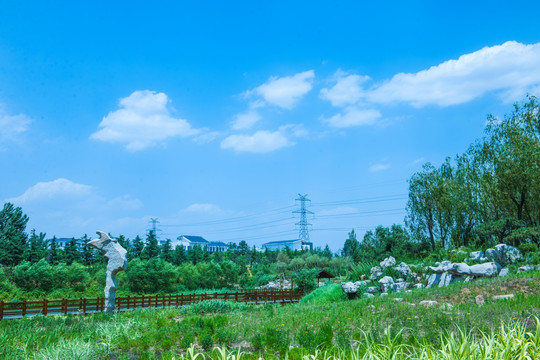 白云蓝天 公园风景