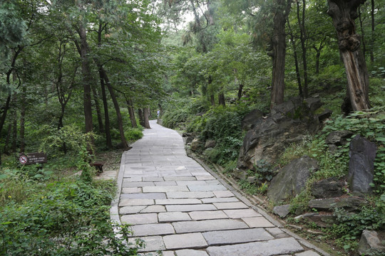 山路