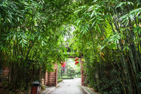 成都锦里竹林小道