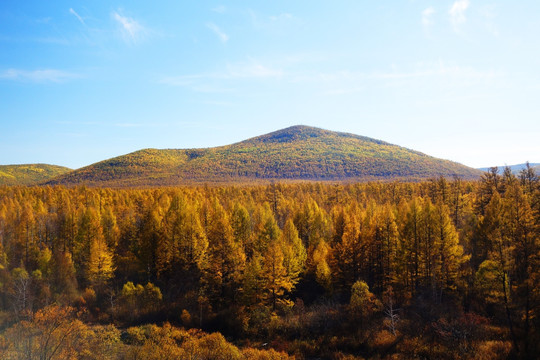 山林秋景