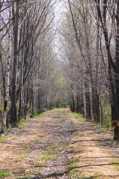 山路