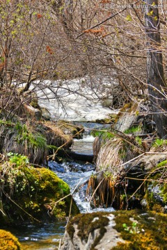 山泉水