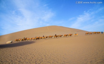 鸣沙山 骆驼