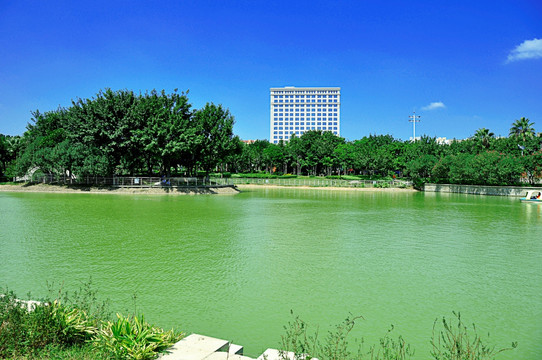 晋江世纪公园水岸绿树