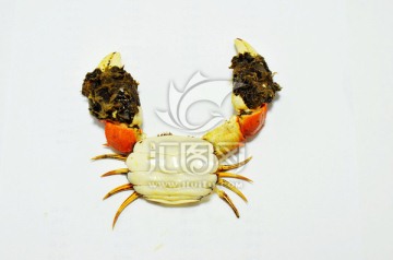 螃蟹创意造型 创意 螃蟹