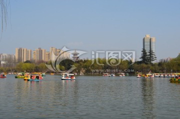 兴庆湖景