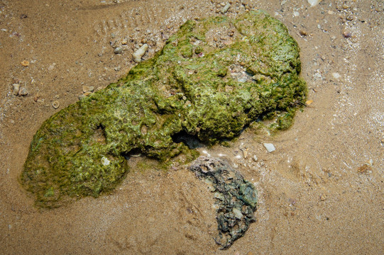 沙滩海浪里的石头