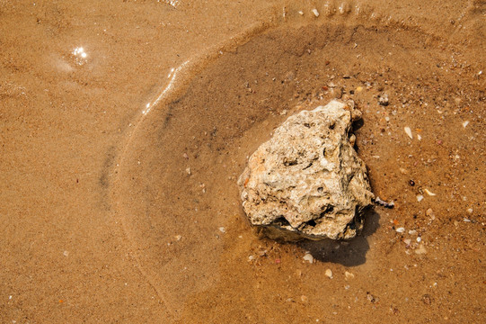 沙滩海浪里的石头