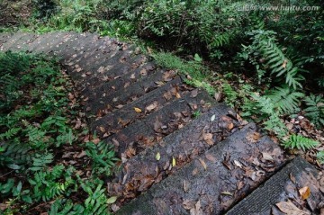 湿漉漉的山路石阶